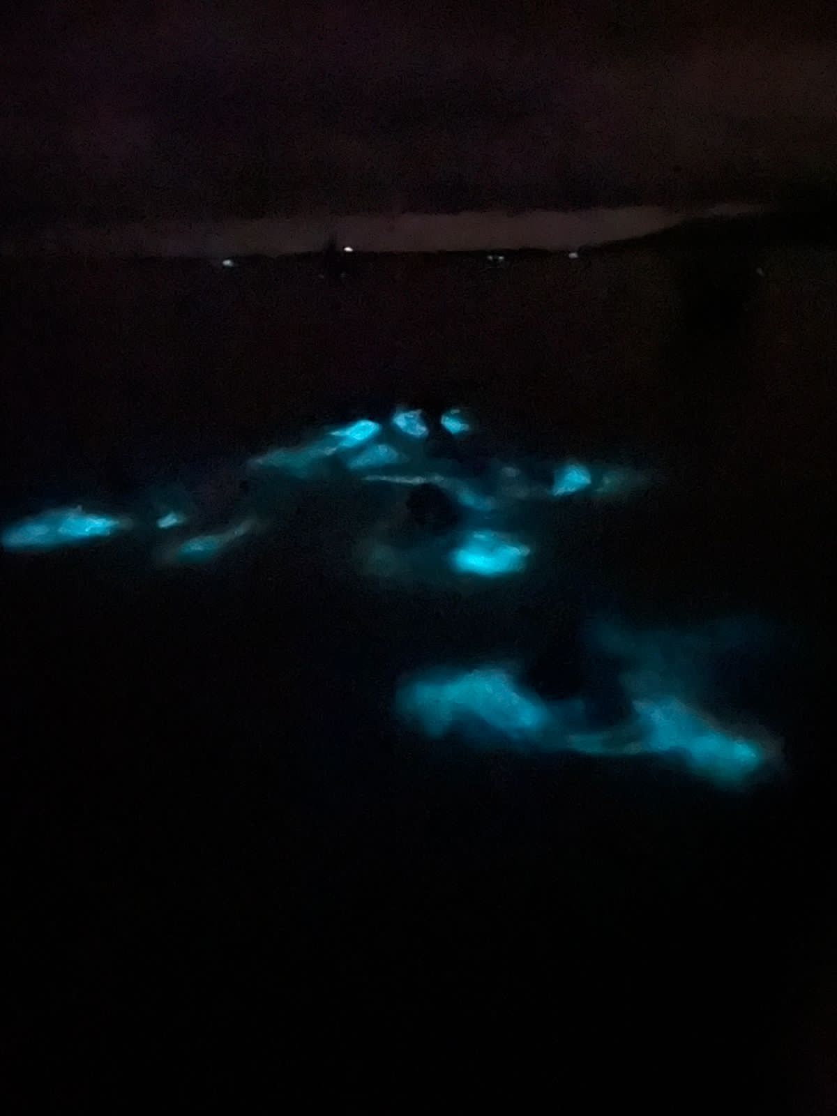 BIOLUMINESCENCE TOUR