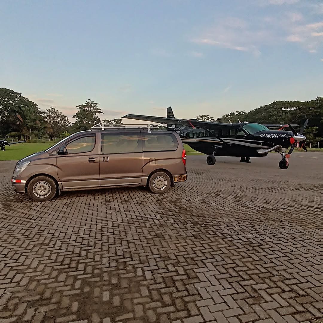 Beto Adventures in Santa Teresa, Costa Rica