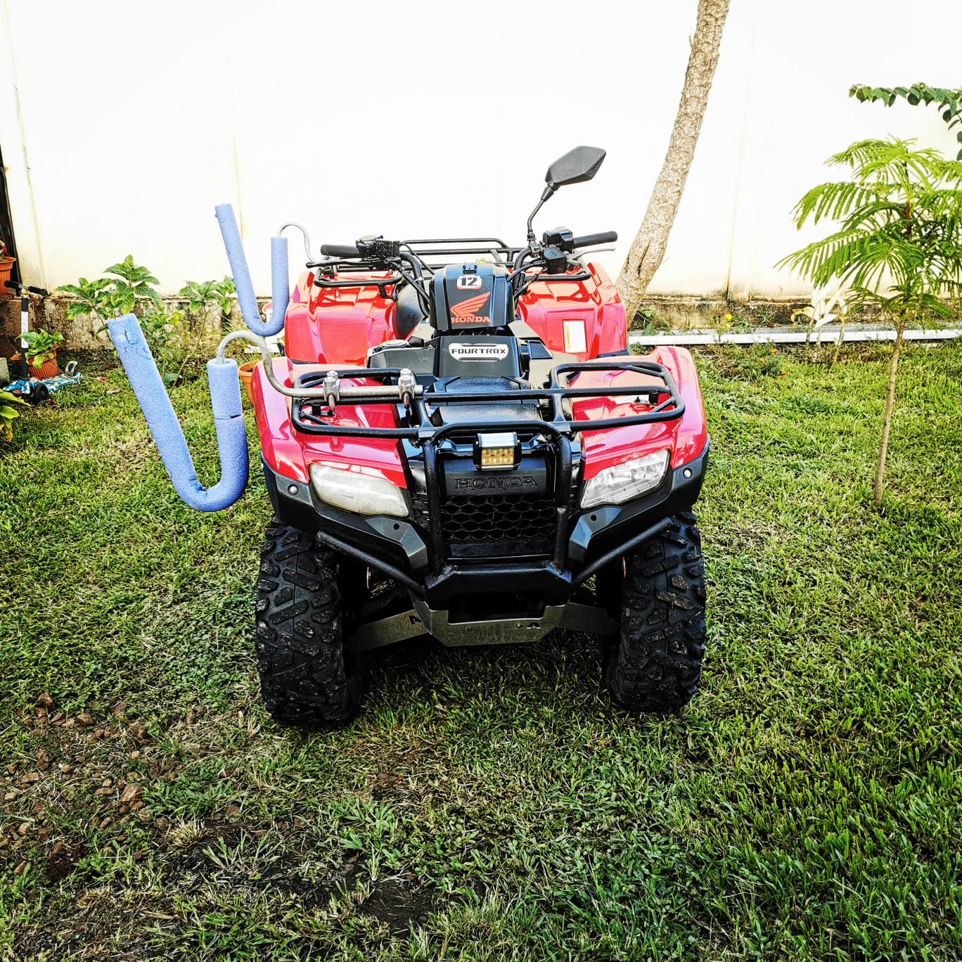 Honda TRX 420 rental