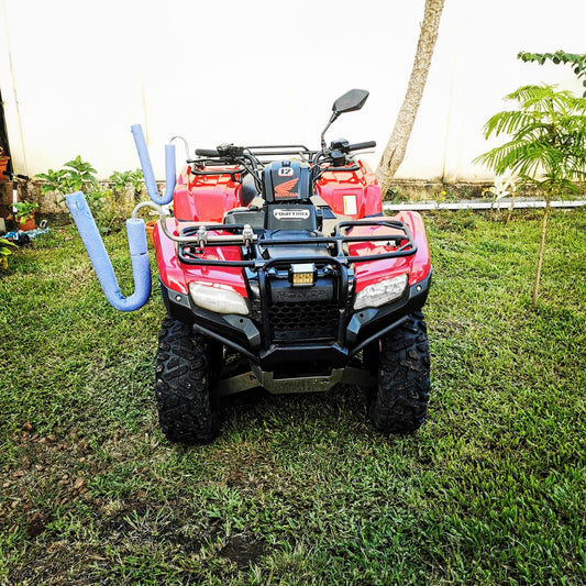 Honda TRX 420 rental