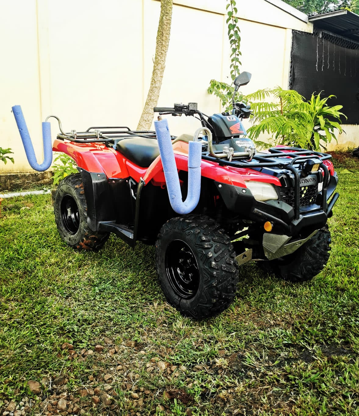 Honda TRX 420 rental
