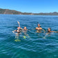 TORTUGA ISLAND TOUR