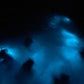 TOUR DE BIOLUMINISCENCIA 