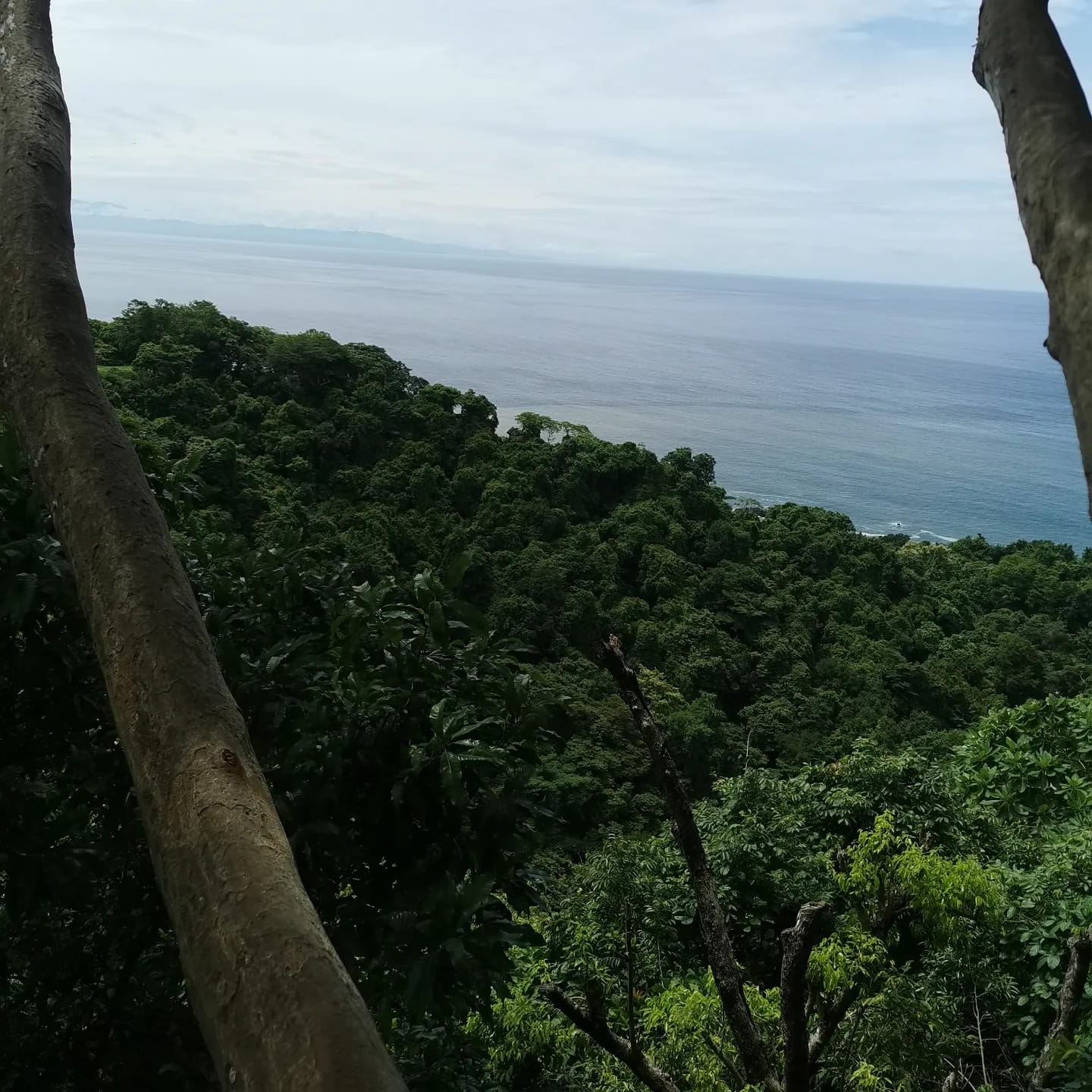 MONTEZUMA CANOPY TOUR