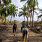 HACIENDA ARIO HORSEBACK ADVENTURES