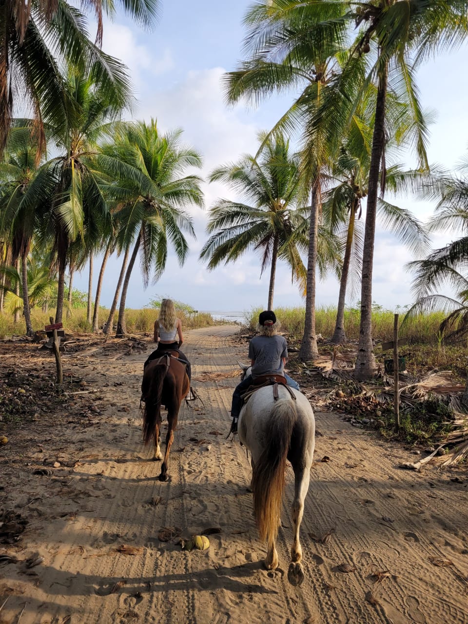 HACIENDA ARIO HORSEBACK ADVENTURES